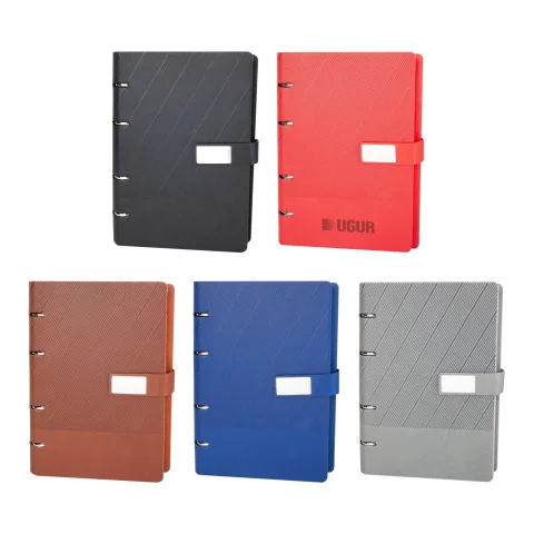 Birlik Organizer Ajanda (17,5x22,5cm)